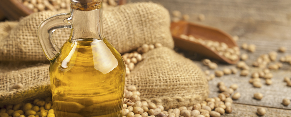 brazilian soybean oil export